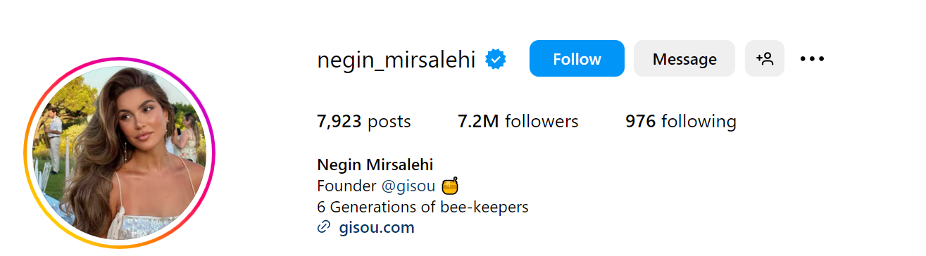 Negin Mirsalehi Social Media Influencer Profile Image Negin Mirsalehi social media influencer portrait