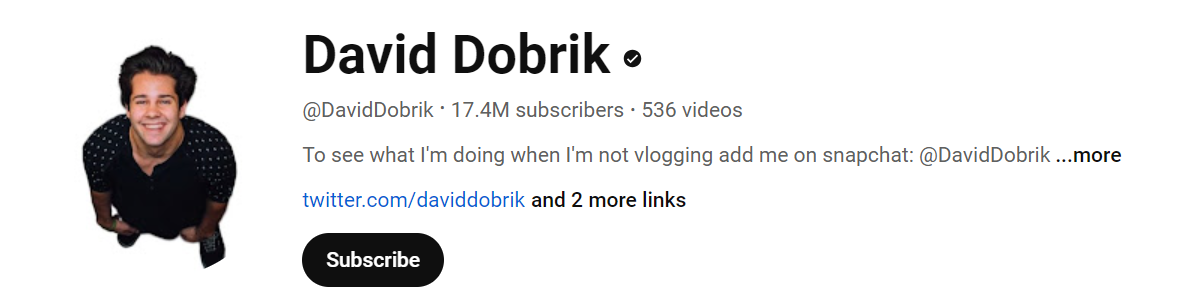 David Dobrik Social Media Influencer Profile Image David Dobrik social media influencer portrait