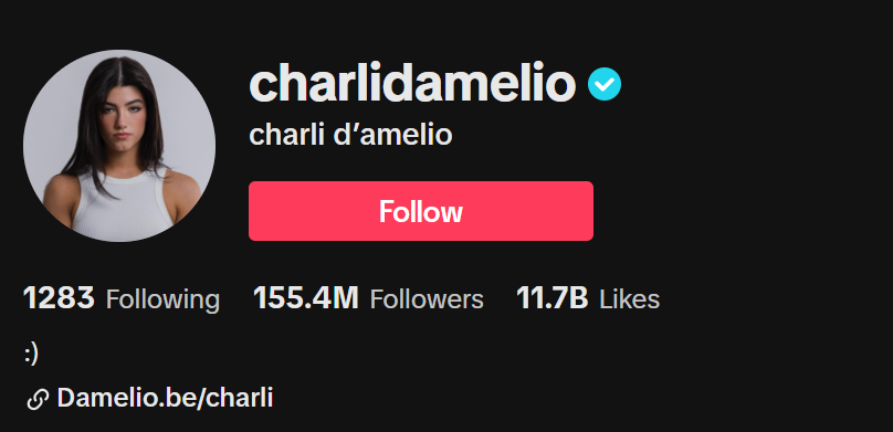 Charli D’Amelio Social Media Influencer Profile Image Charli D’Amelio social media influencer portrait