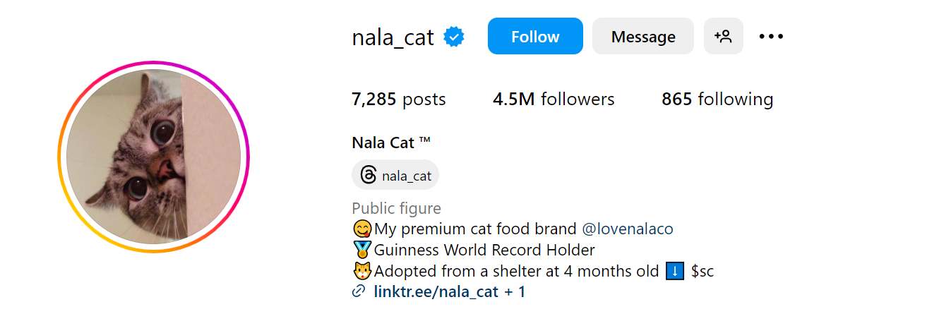 97. Nala Cat Social Media Influencer Profile Image 97. Nala Cat social media influencer portrait