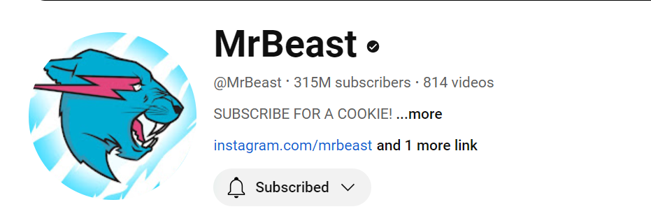 MrBeast (Jimmy Donaldson) Social Media Influencer Profile Image MrBeast (Jimmy Donaldson) social media influencer portrait
